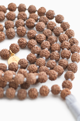 Rudraksh Mala Japa Meditation