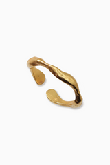 Ring "Higher Frequency"